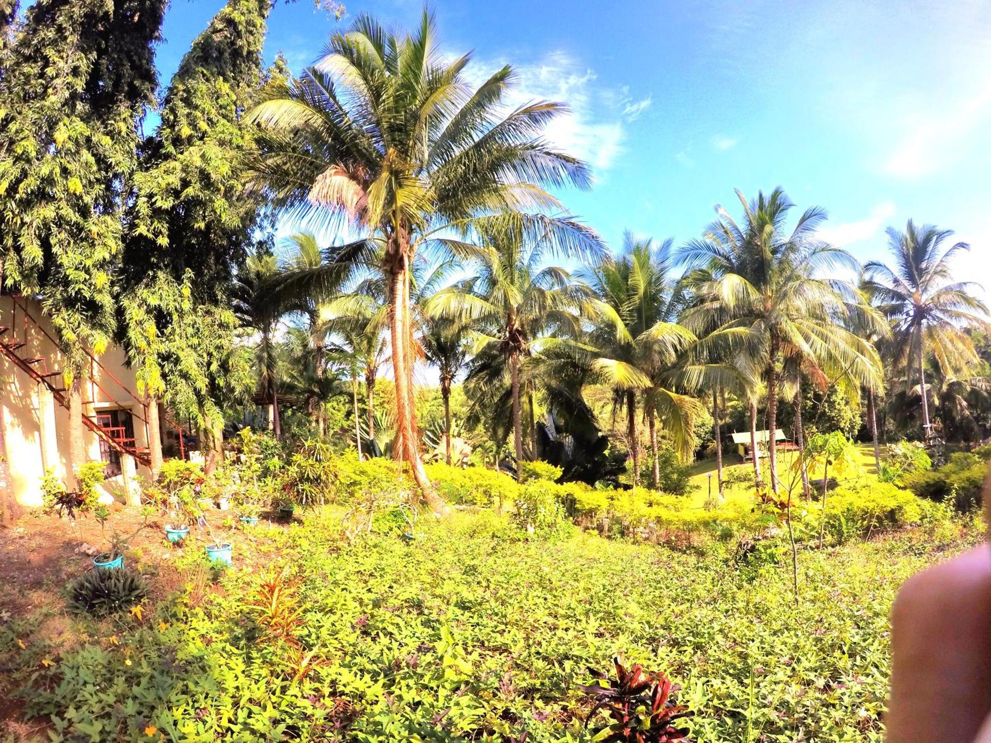 Al Hamra Jungle Resort (Adults Only) Пуэрто-Принцеса Экстерьер фото